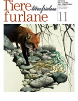 Tiere furlane 11